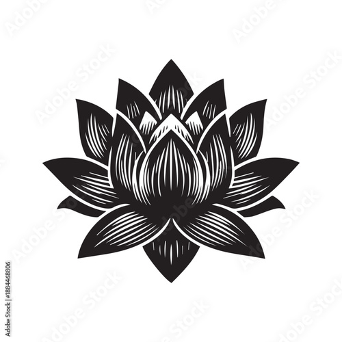 Detailed woodcut style lotus flower illustration in black ink on a white backdrop