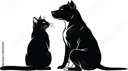 pet friends, cat dog, animal silhouette, pet care, sitting together, home pets, best friends, animal love, veterinary clinic, pet shop, fluffy together, silhouette 