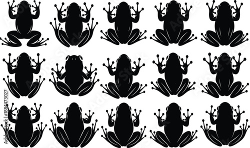 frog, amphibian, silhouette, vector, nature, wildlife, tropical, animal, biology, toad, swamp, graphic, pond, aquatic, environment