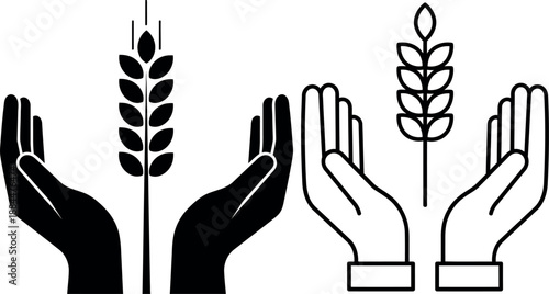 Silhouette of hands protecting wheat stalks for food security