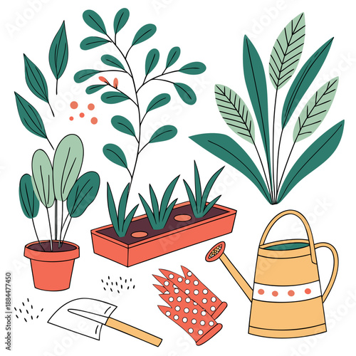 Assorted indoor plants and gardening tools