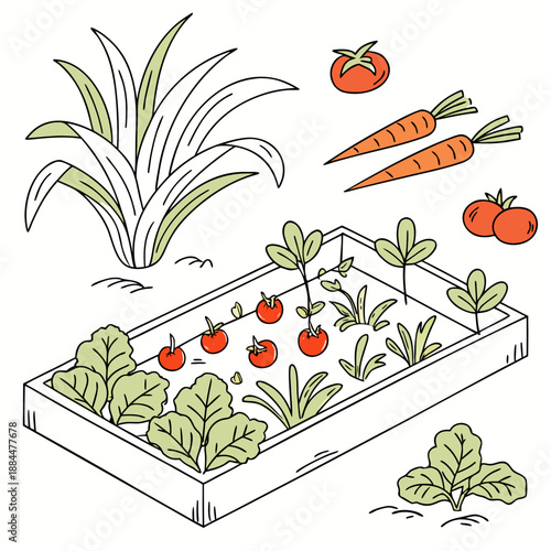 Vibrant vegetable garden in a raised bed