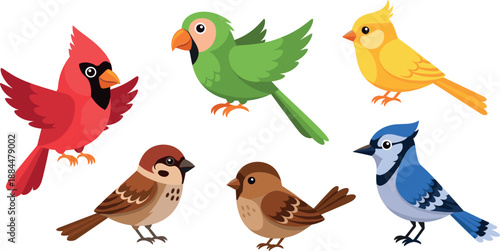 Cute cartoon bird vector set with colorful flying and sitting birds for nature design