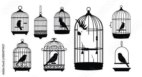 A collection of ornate birdcages some containing silhouettes of birds