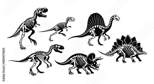 Illustrative collection of dinosaur skeletons showcasing diverse prehistoric reptile anatomy