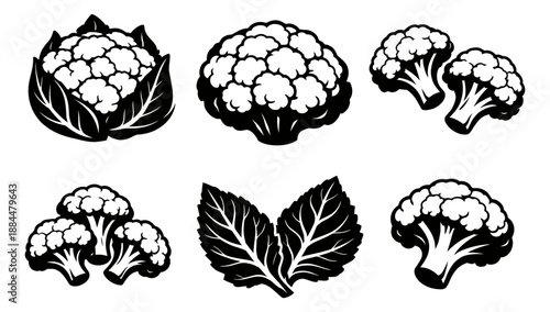 Graphic vegetable set featuring cauliflower heads, broccoli florets, and leaves for healthy eating and cooking