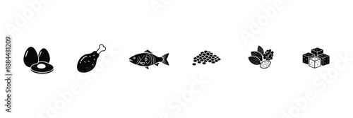 Nutrition vector set including protein sources eggs chicken fish seeds and nuts