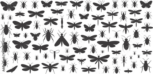 Insect silhouettes collection isolated on white background, butterflies, dragonflies, beetles and bugs vector illustration set for education, biology design, wildlife graphics, pattern creation