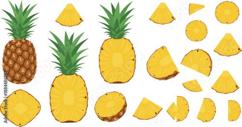 Detailed pineapple fruit illustration collection with whole pineapple and various sliced pieces isolated on white background