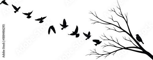 Flying bird silhouettes and perched bird on bare tree branch vector illustration, minimal nature wildlife scene isolated on white background