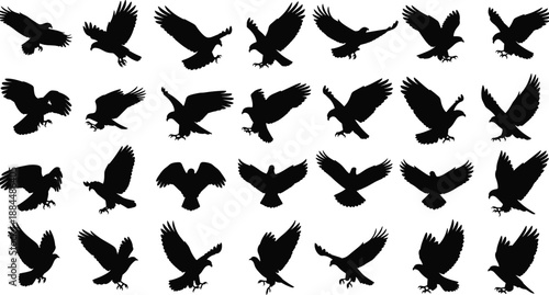 Flying bird silhouettes vector collection, birds in flight poses isolated on white background, wildlife design elements for logo, tattoo, and nature graphics