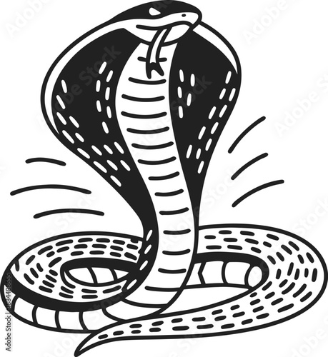 Cobra snake with hood spread, coiled and ready to strike venomous reptile with forked tongue and aggressive stance illustration