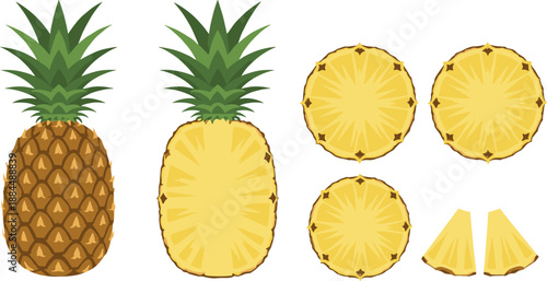 Fresh organic pineapple fruit vector set with whole pineapple half cut slices and wedges isolated on white background