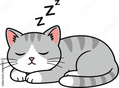 Cute sleeping grey tabby cat vector illustration featuring a kitten napping peacefully with zzz symbols in a flat cartoon style isolated on white.