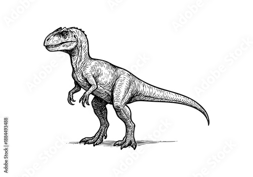 Allosaurus hand drawn simple sketch vector illustration