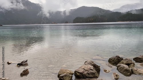 A peaceful horizontal shot of ducks by the rocky shore of a crystal-clear mountain lake.
