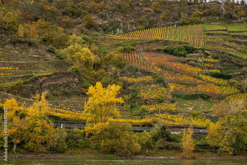 Landscape seen while cruising along the Rhine River in France in the fall