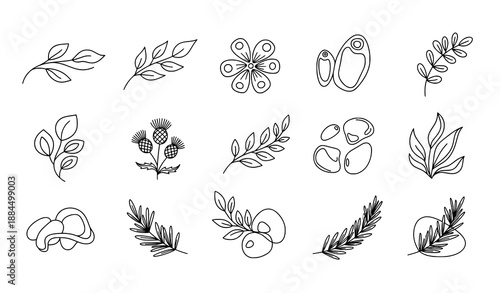 Hand Drawn Boho Botanical Linear Logo Marks Vector Collection EPS10