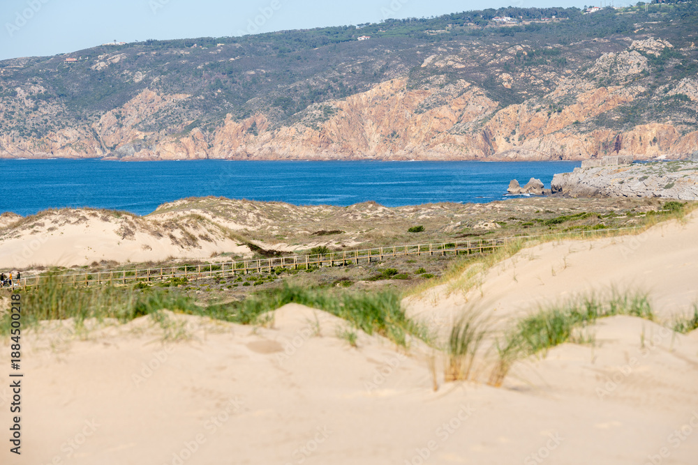 Fototapeta premium Atlantic coastline behind rolling sand dunes