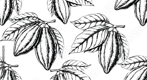 Hand drawn cocoa pods and leaves seamless pattern sketch in black and white