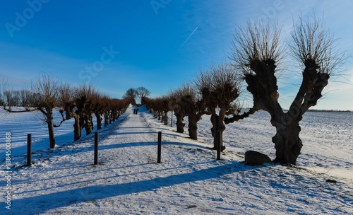 Festonallee in Klütz am Schloss Bothmer in Mecklenburg-Vorpommern