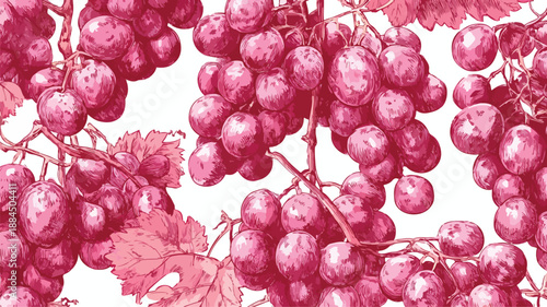 Elegant Grapes Fruit Seamless Pattern Vector Art and Illustration