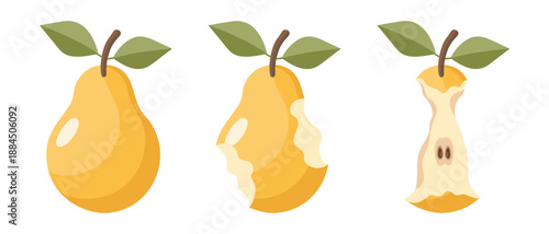 Juicy pear eating steps icon set. Stages of an eaten pear, whole, bitten and core. Illustration.