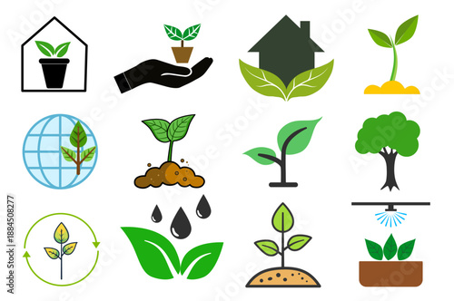 Collection of various plant on white background.