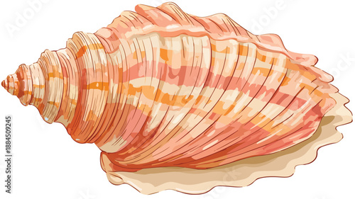 Colorful Seashell Cartoon Vector Illustration for Beach Theme Designs
