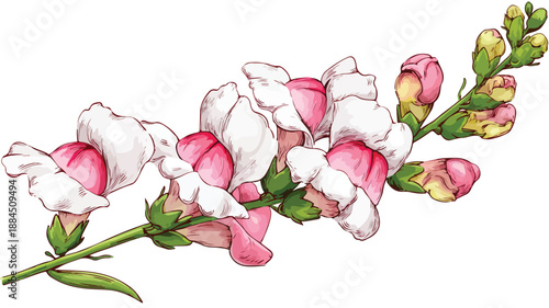 Colorful Snapdragon Flower Cartoon Style Illustration for Design Projects