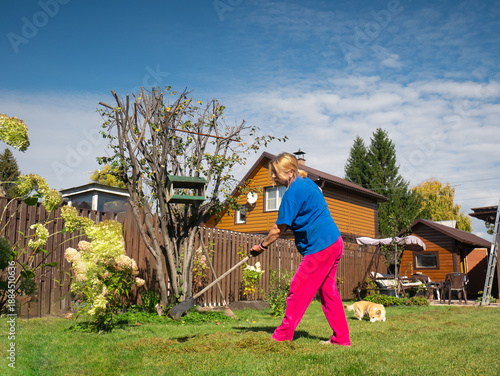 Caucasian woman gardener raking grass in yard. Summer garden cleaning and maintenance on sunny day. Outdoor hobby and domestic work.