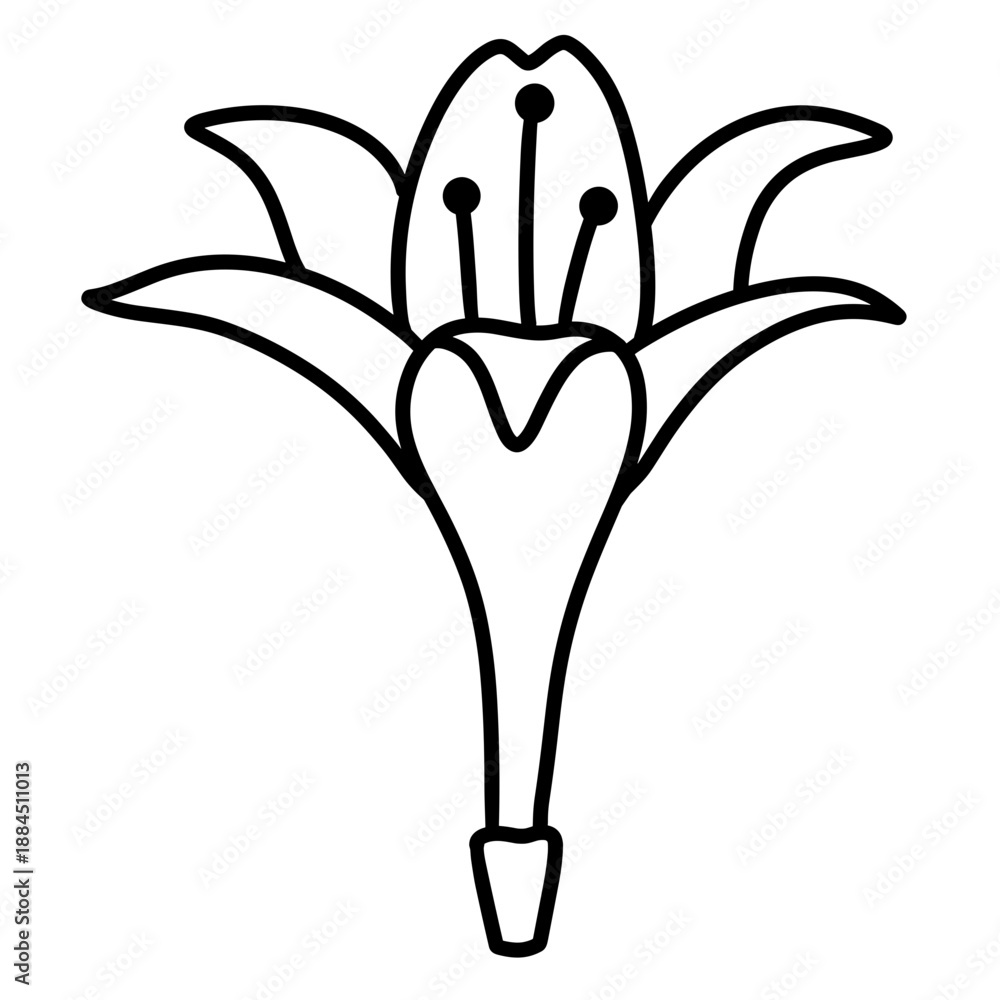 Obraz premium flower vector illustration