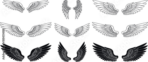 Set of various black and white illustrations of wings from different viewpoints and styles