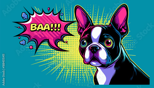 Pop art Boston Terrier with comic speech bubble on blue background