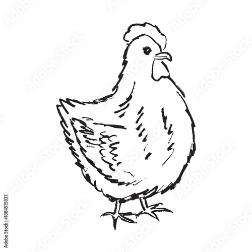 Hand drawn chicken farm animal. Hen drawing isolated on white. Vector sketch illustration in vintage doodle crayon charcoal style