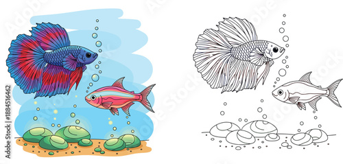 Beautiful cartoon Betta fish and Neon Tetra swimming underwater with bubbles and stones vector illustration suitable for aquarium hobby and marine life design