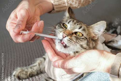 Close-up of tabby kitten's face as it receives liquid medication from a syringe held by a caregiver