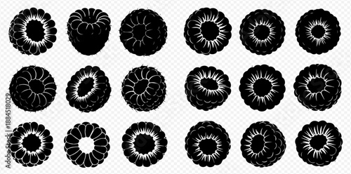Set of black and white raspberry silhouettes, ripe berry vector icons for food and fruit designs.