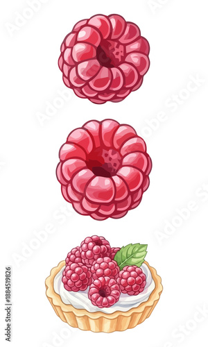 Raspberry vector, various berry fruit silhouette, raspberry clipart, raspberry art