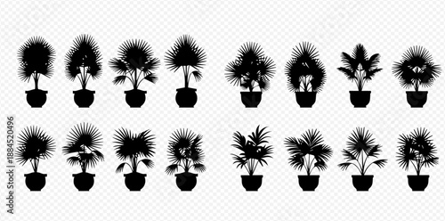 Set of potted palm tree silhouettes, including various types of indoor plants in black color, isolated on a transparent background.