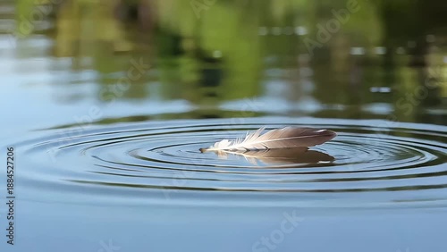 Waves on the water with a feather floating on the calm surface of the lake  