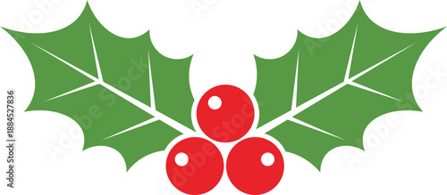 Stylized green holly leaves with red berries on white background