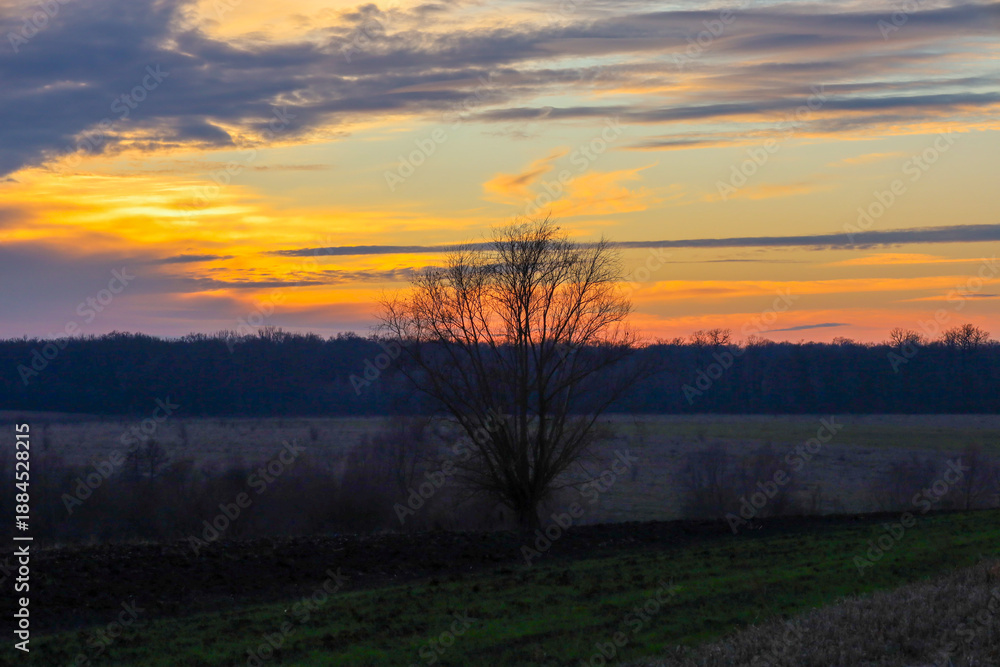 Fototapeta premium A lone tree stands tall against a dramatic golden sunset over a dark horizon line and a vast field. Vibrant orange and yellow colors of the evening sky create a majestic and peaceful landscape,