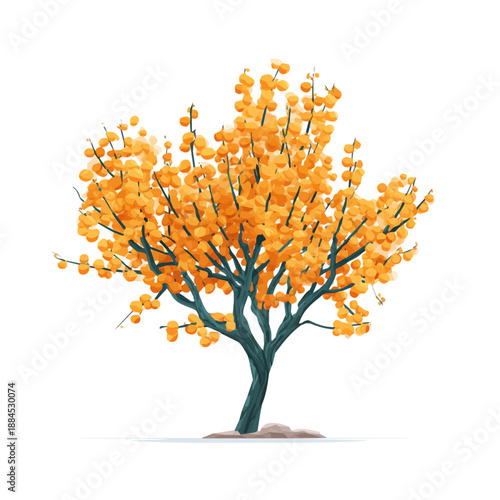 Flat 2D minimalist illustration of a Apricot Tree, modern vector design with white background.