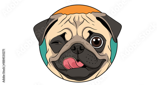 Close up portrait of a funny pug dog winking and licking its nose in a circular frame with orange and teal colors.