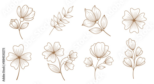 Collection of various hand drawn floral elements and leaves in a brown ink style against a white background.