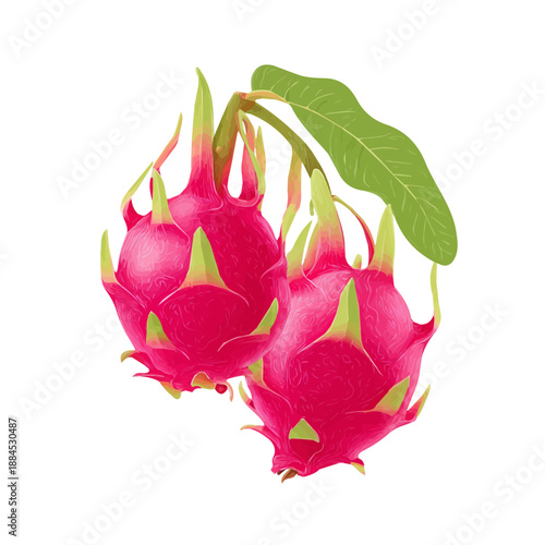 Clean 2D flat vector depiction of a Dragon Fruit, designed in minimalist modern style with white background.