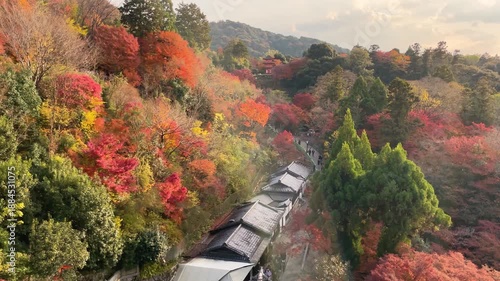 紅葉、真っ赤に色づく山寺のある京都東山