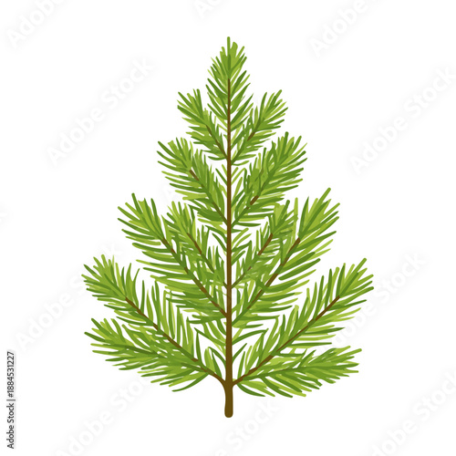 A simple and modern flat 2D vector of a Fir Needle, isolated on a pure white background.
