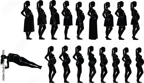 Pregnant woman silhouette collection showing pregnancy stages maternity body changes prenatal fitness and motherhood journey in side view black vector illustration set